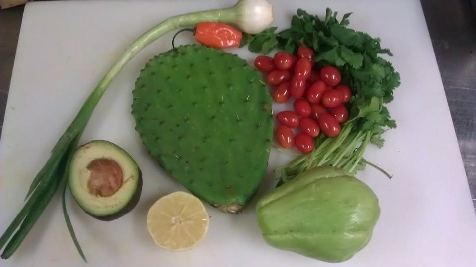 Forest-Wilson-Cactus-salsa-food-prep