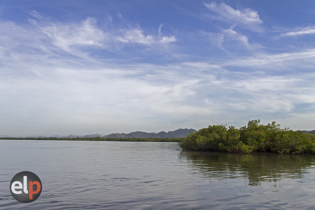 Los humedales del Golfo de Fonseca fueron declarados como el sitio Ramsar número 1000, dentro de los que hay en conjunto varias áreas protegidas. Fotografía: Nincy Perdomo. 