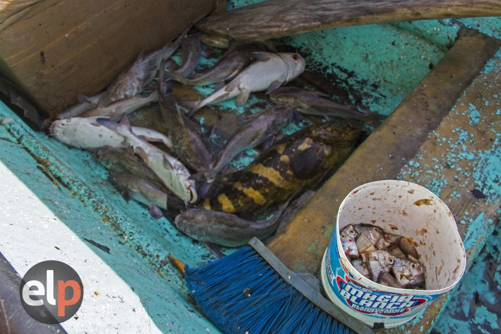Muchos bancos de pesca tradicionales desaparecieron con el dragado que se realizó en el canal del Puerto de Henecán en el año 2004. Fotografía: Nincy Perdomo. 